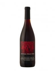 Apothic - Pinot Noir 2019 (750ml) (750ml)