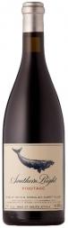 Southern Right - Pinotage 2019 (750ml) (750ml)